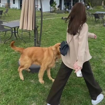 金银鼓